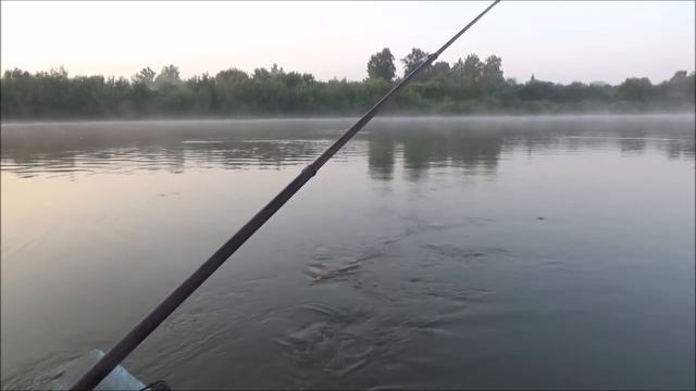 Ловля ельца и сорожки, в проводку с лодки на течении (720p)