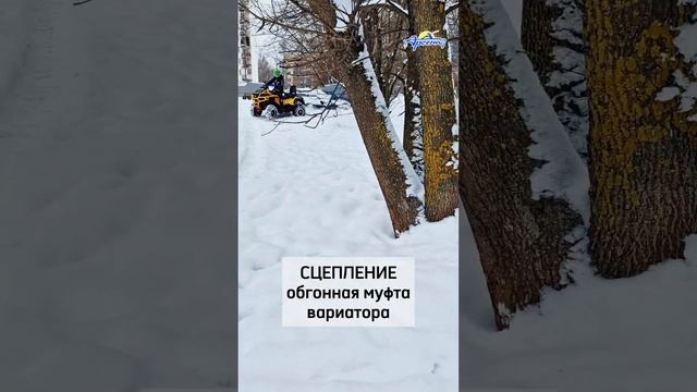 Квадроцикл STELS ATV 850 PE