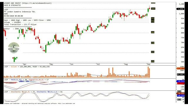 Analisa saham MEDC, HMSP, ZINC, PWON, LSIP, ACES, CLEO, CPIN, JSMR, PTBA, view IHSG 3 September 202