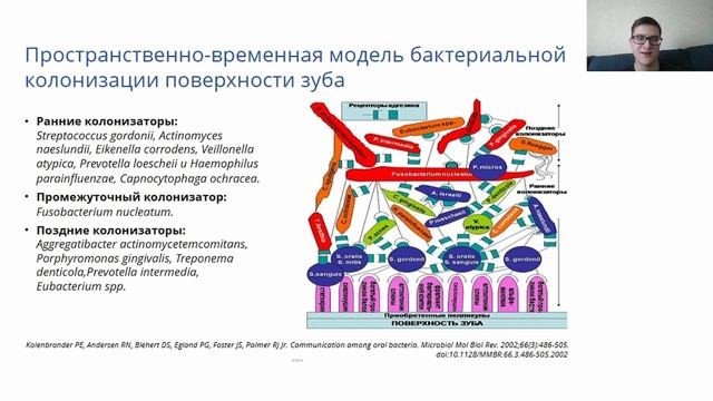 Лекция_Заболевания пародонта