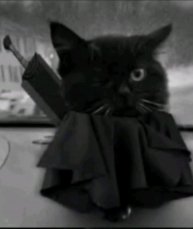 заходи пжпжмжпжп