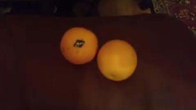 Мандарин укатился