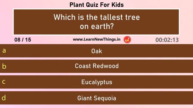 Plant Quiz for Kids | 15 Questions