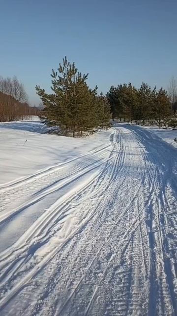Февральская лазурь неба.
