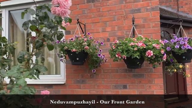Our Glorious Garden