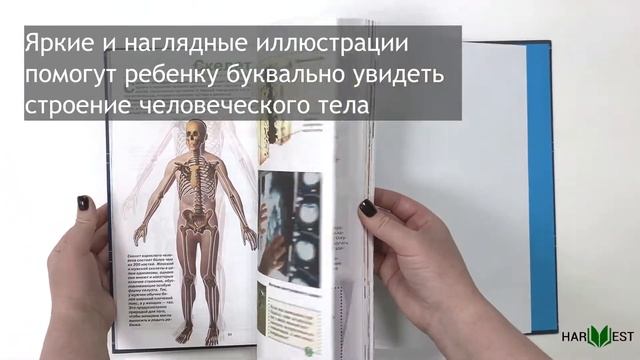 Книга для детей Большая энциклопедия школьника, развивающая, познавательная. Подарок ребенку