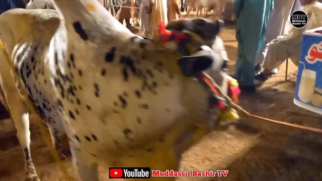 Chand Raat Taxila Mandi Latest Update 20 July 2021 | 212K Ma Soda Nai Bana