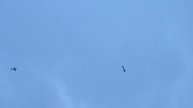 Авиашоу 28.07.13 Новосибирск