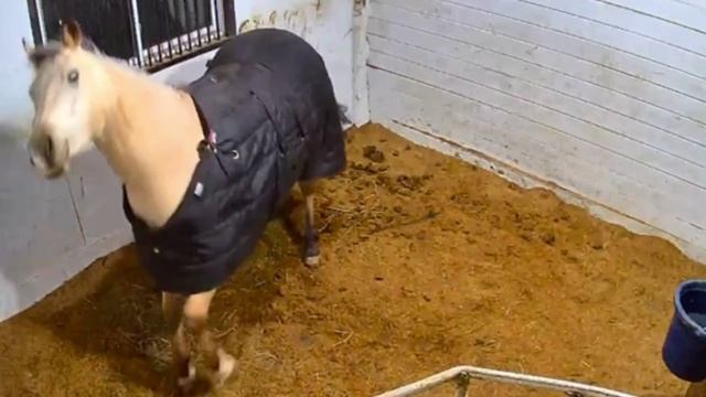 он в душе баскетболист