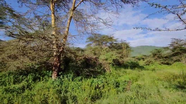 tanzania(4)