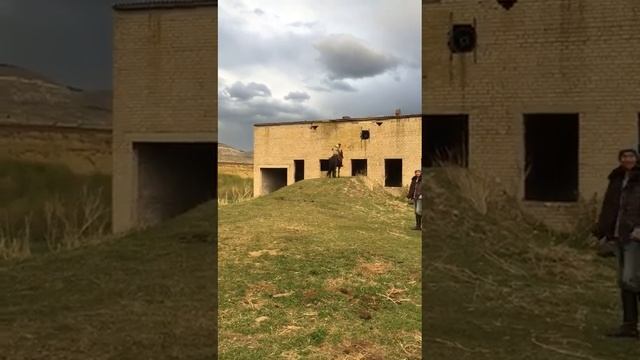 Как карачаевци диких конеи заежают