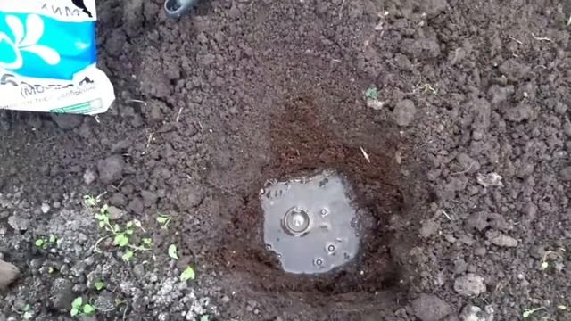 Чем заправить лунки для огурцов