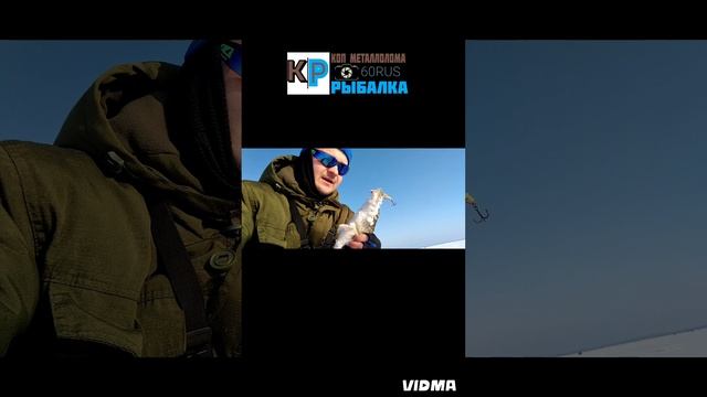 Зимняя рыбалка на Псковском озере. 2025 год