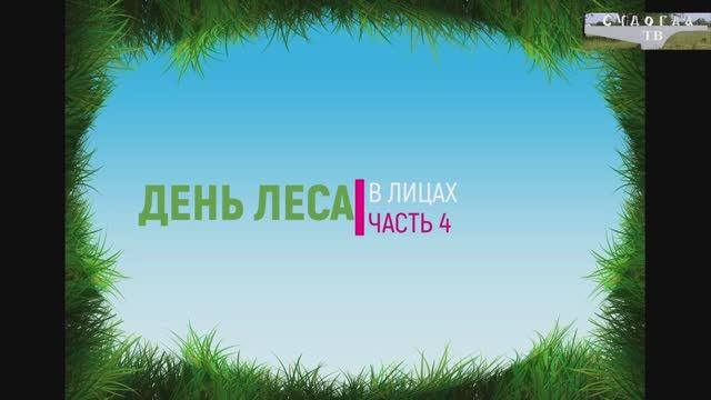 День леса в лицах (часть 4)