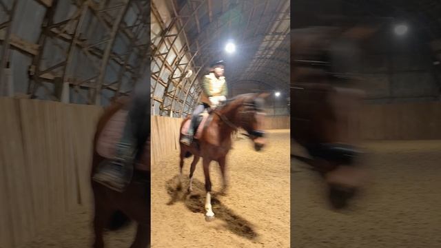 Даша и Наоми, Анна и Каспер. Тренировка с комментариями. #horse #equestrian #лошади #pony