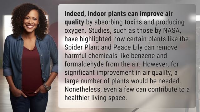 Can indoor plants improve air quality?