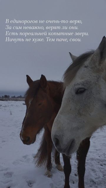 17.02.25 АЗ #ниднябезрифмы