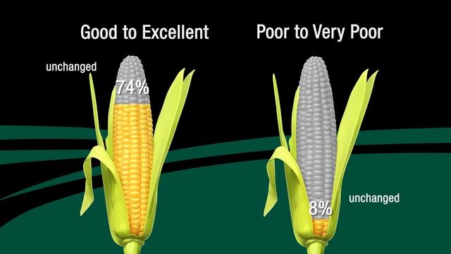 Monday Mycotoxin and Crop Report for August 22, 2016