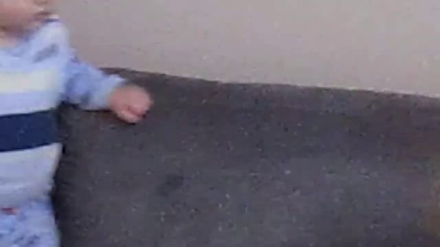Стивен хохочет 10 месяцев
