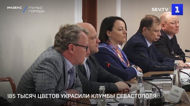 185 тысяч цветов украсили клумбы Севастополя