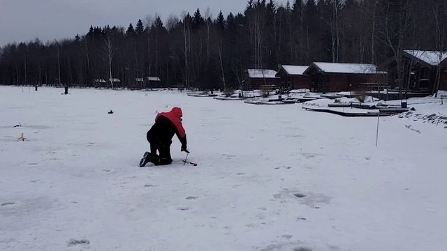 обзор