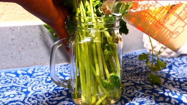 How to Keep HERBS & VEGETABLES Fresh! Save Money!