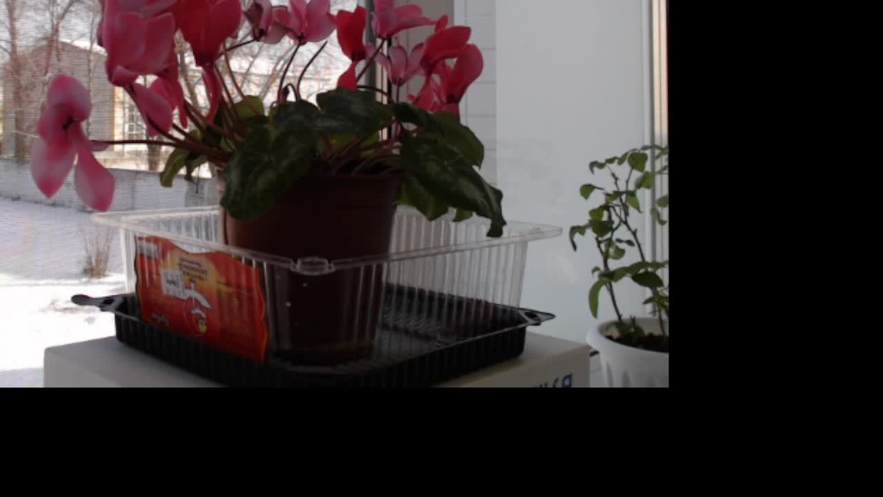 itcube32test