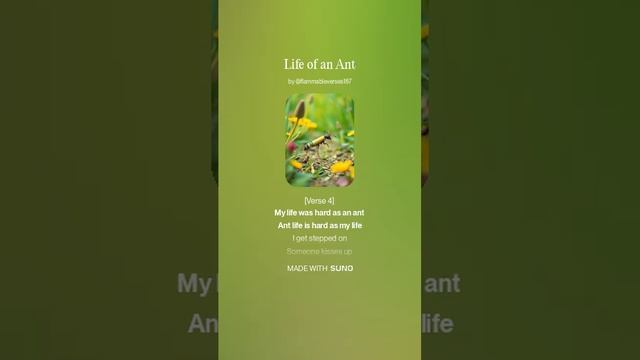 Life of an Ant