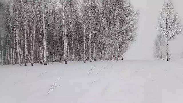 КРАСОТА ЗИМЫ! Поход по воспоминаниям,!