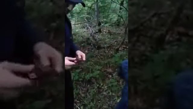 Rabotajte bratja Sotrudnik policii pal geroem