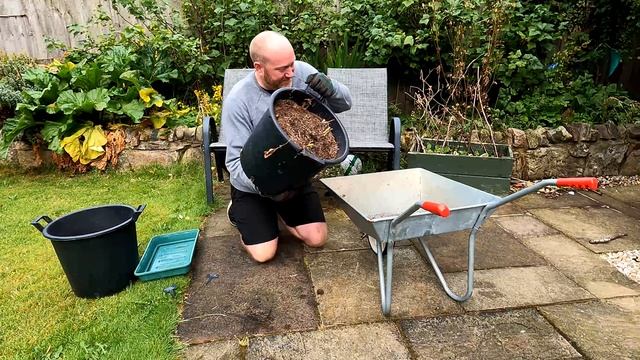 First Early Potato Harvest | Potatoes in Containers | Potatoes| Mark's Allotment Plot