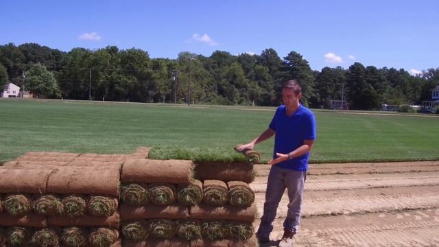 Durablend Tall Fescue from Central Sod Farms