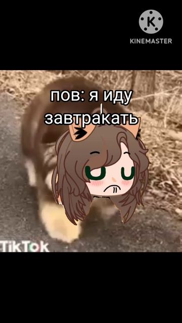 опять я линилась😅