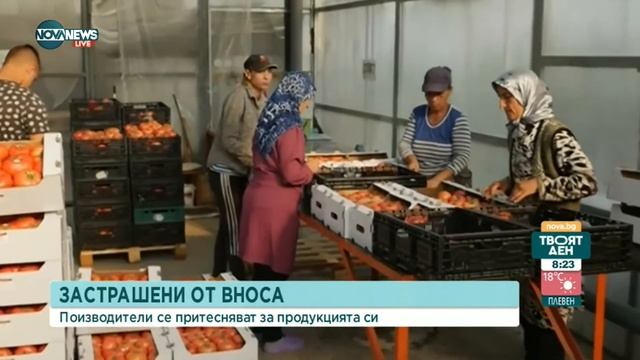 Производители на плодове и зеленчуци се притесняват от чуждестранния внос - Твоят ден (21.06.2022)