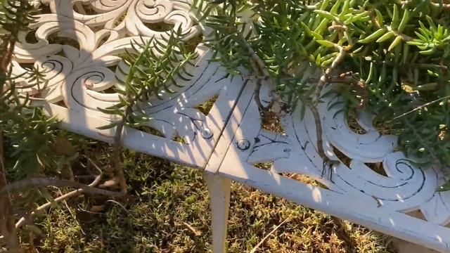 Fall Garden Cleanup / Preparing the Garden for Winter
