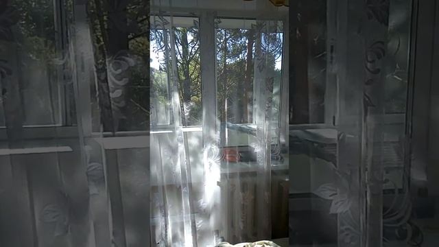 Гонжа