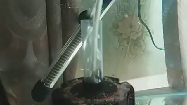 Обзор аквариумов