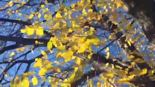 Golden November