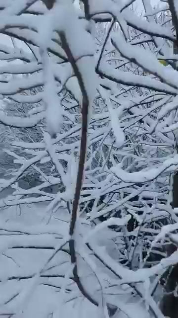 Снежная деревня