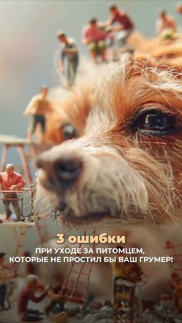 НЕ ПОВТОРЯЕМ 🚫