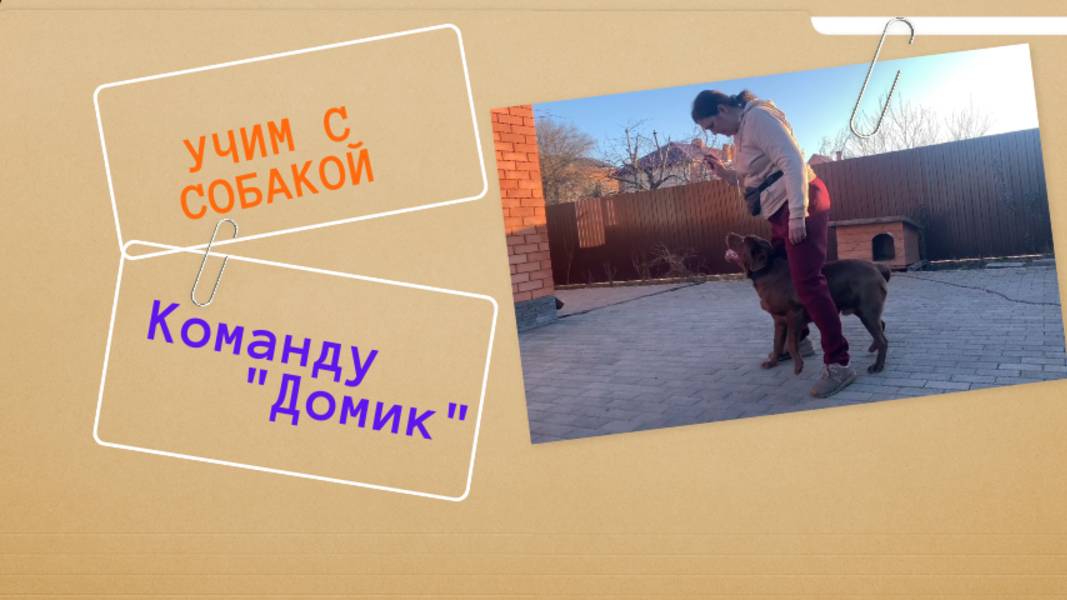 Команда "Домик" / Дрессировка собак