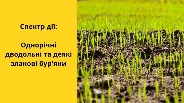 Гербіцид Альфа-Бригадир 🍂 , опис препарату 🍂
