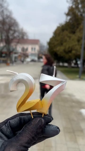 С Днем Рождения Светлана!