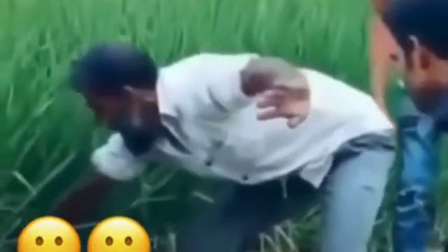 мори дукалаха