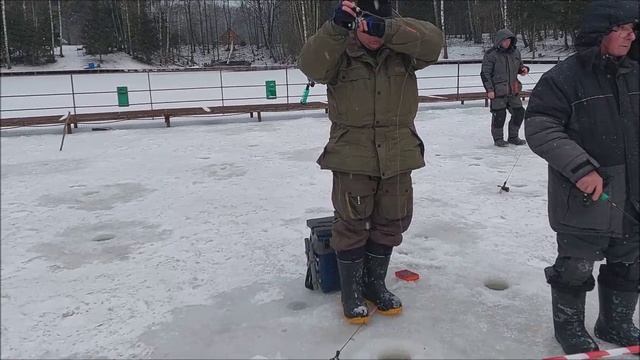 Раттлины продолжают работать. Клёвое место, Лосиный остров, нижний водоём.