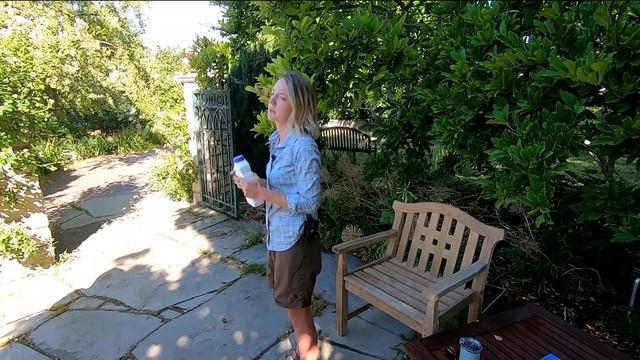 You Can Grow It: Tree issues with the plant doctor