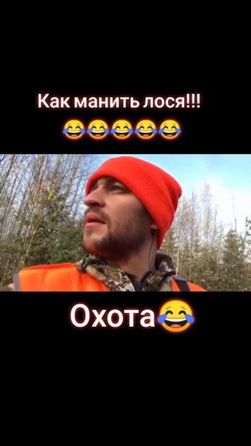 как приманить лося 🦌