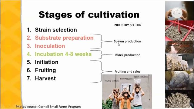 Indoor Mushroom Production