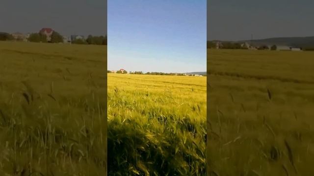 Из чего рождается всё.