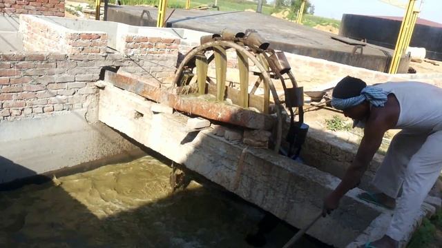 What is Biogas and how to produce Electricity from Biogas Plant using Poultry Litter?